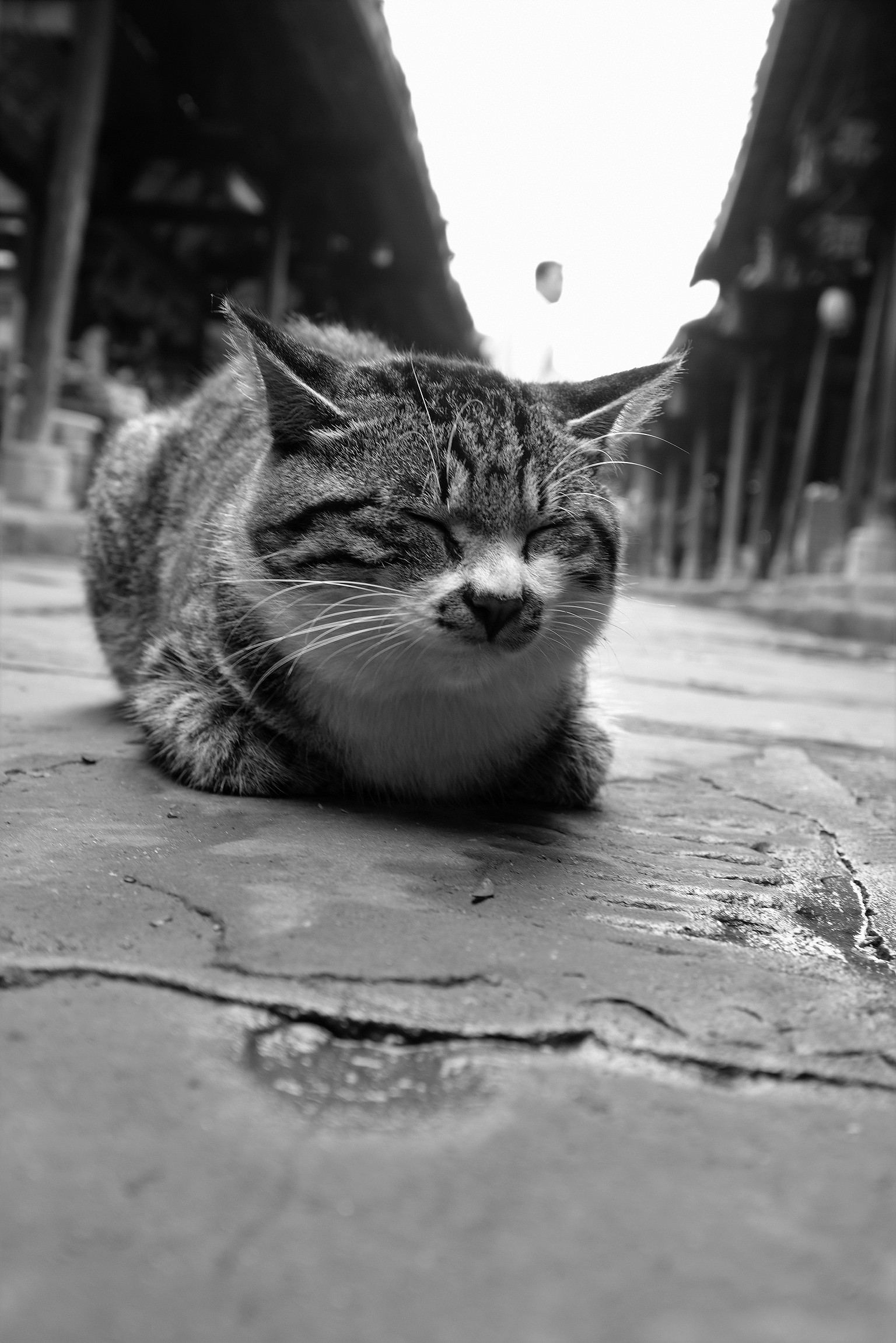 Photo Title