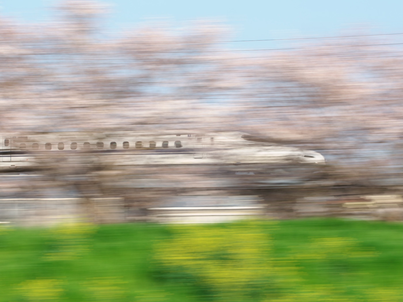 Photo Title