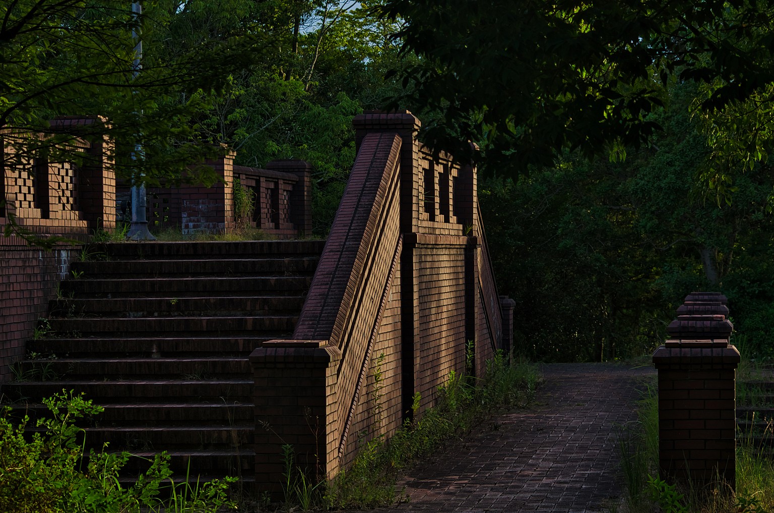 Photo Title